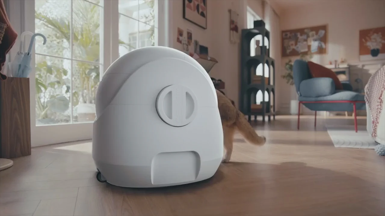 Intelligent Care for Happy Cats